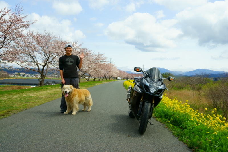f:id:GSX-R1000:20160414202059j:image