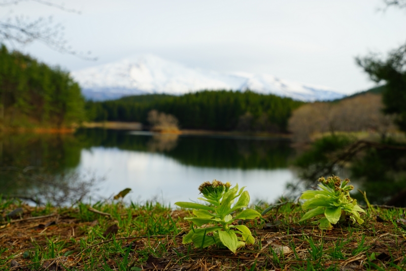 f:id:GSX-R1000:20160418090359j:image f:id:GSX-R1000:20160418090359j:image