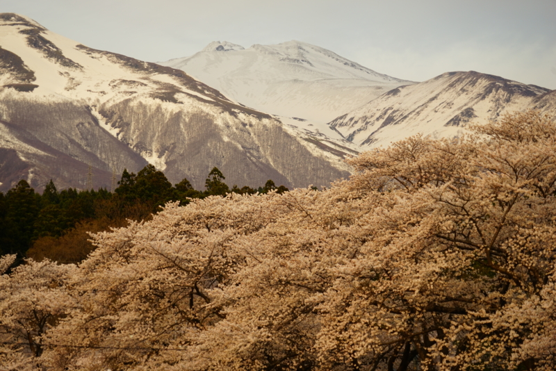 f:id:GSX-R1000:20160418090418j:image f:id:GSX-R1000:20160418090418j:image