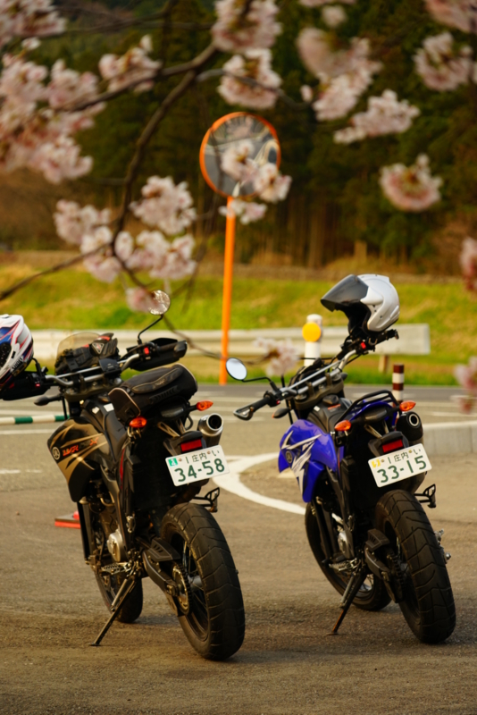 f:id:GSX-R1000:20160418090420j:image f:id:GSX-R1000:20160418090420j:image