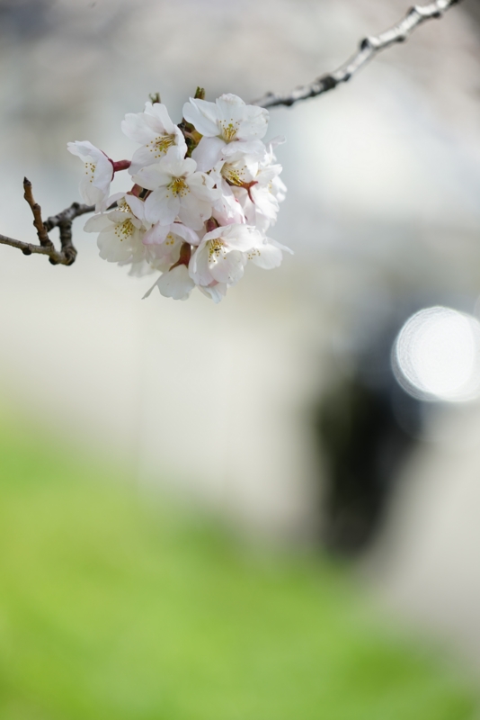 f:id:GSX-R1000:20160418195202j:image