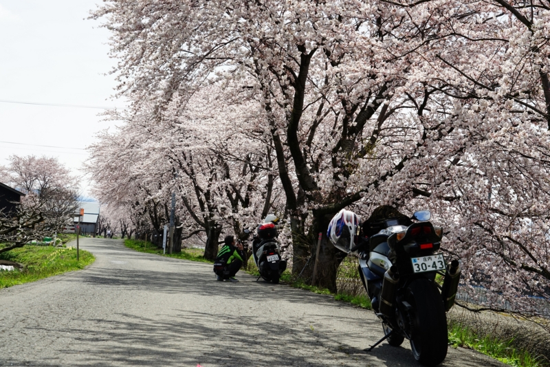 f:id:GSX-R1000:20160418195204j:image