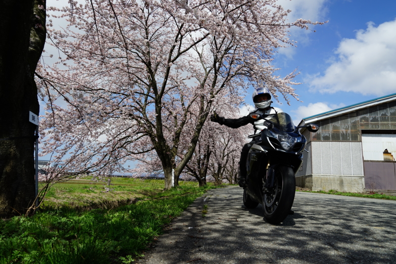 f:id:GSX-R1000:20160418195205j:image