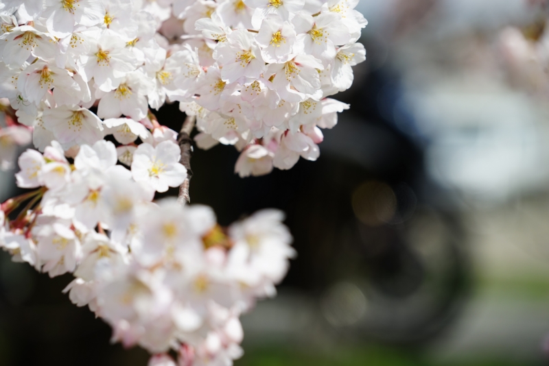 f:id:GSX-R1000:20160418195209j:image
