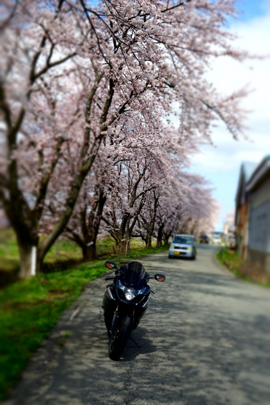 f:id:GSX-R1000:20160418195211j:image