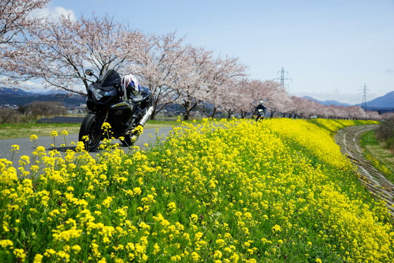 f:id:GSX-R1000:20160418195213j:image
