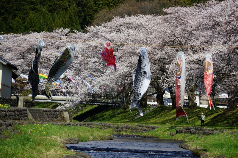 f:id:GSX-R1000:20160418195236j:image f:id:GSX-R1000:20160418195236j:image