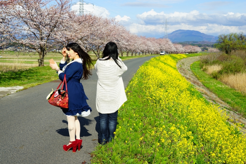 f:id:GSX-R1000:20160418195246j:image f:id:GSX-R1000:20160418195246j:image