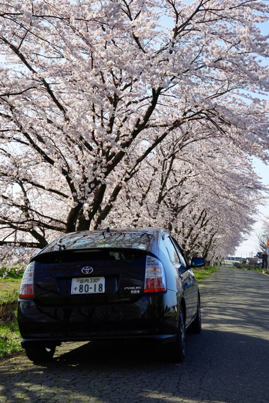 f:id:GSX-R1000:20160418195249j:image f:id:GSX-R1000:20160418195249j:image