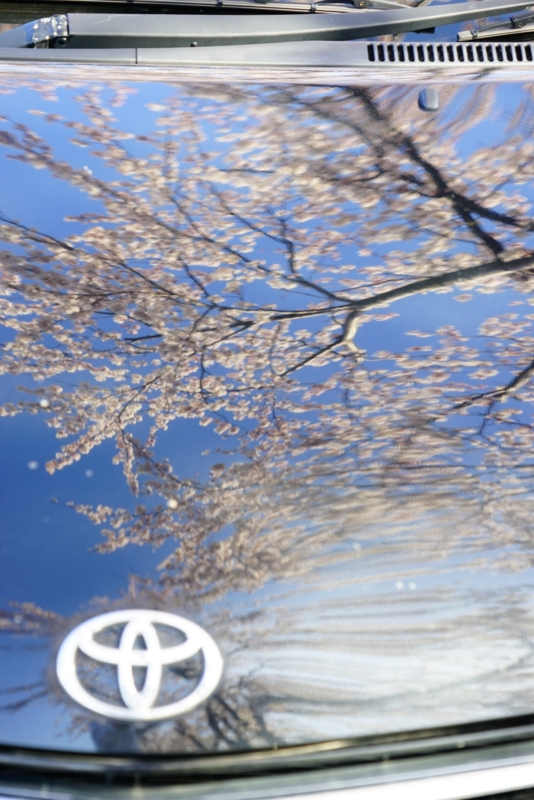 f:id:GSX-R1000:20160418195252j:image f:id:GSX-R1000:20160418195252j:image