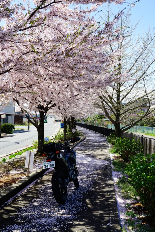 f:id:GSX-R1000:20160418213954j:image