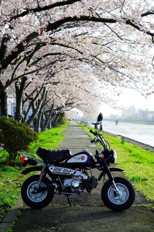 f:id:GSX-R1000:20160418214000j:image