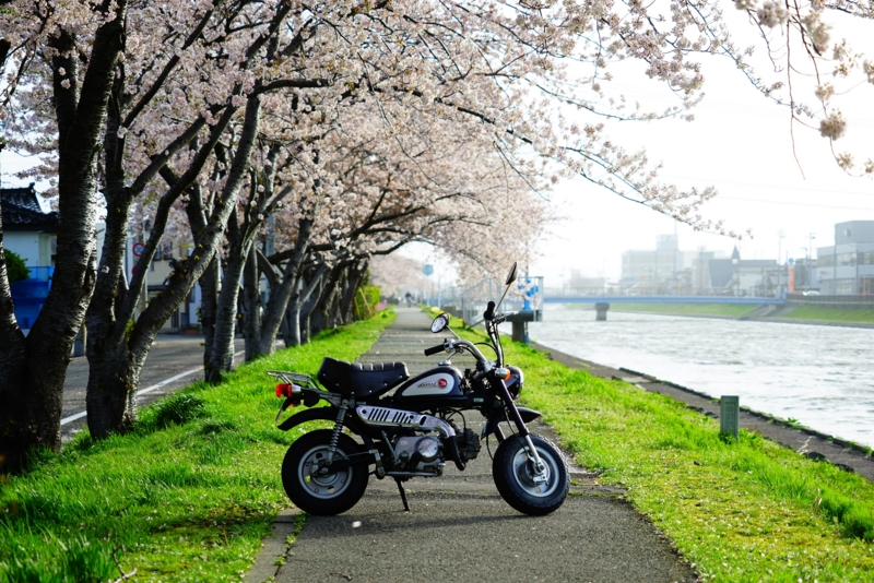 f:id:GSX-R1000:20160418214001j:image