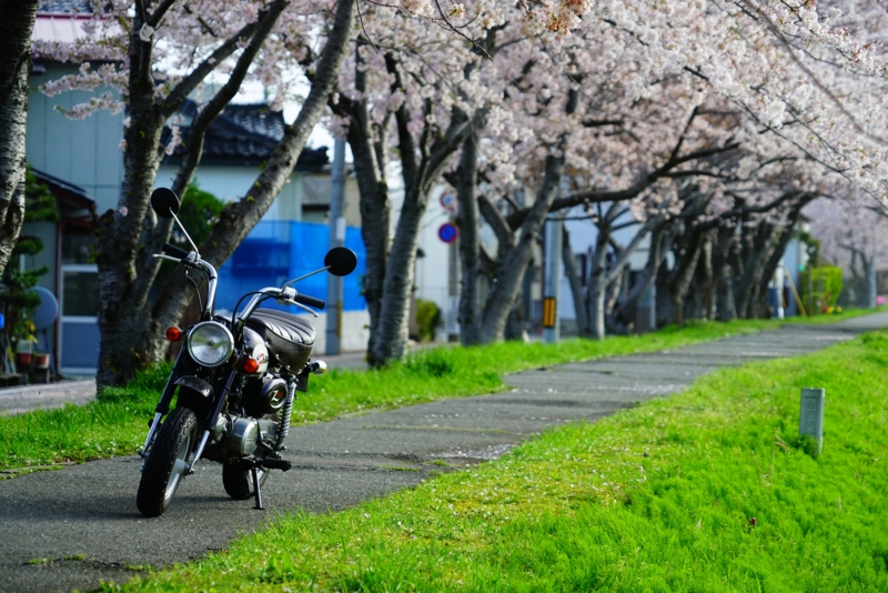 f:id:GSX-R1000:20160418214002j:image