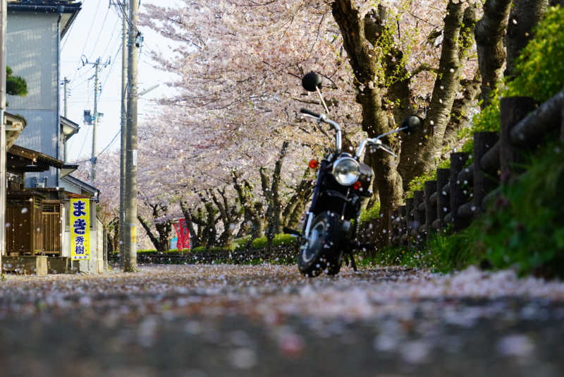 f:id:GSX-R1000:20160418214008j:image