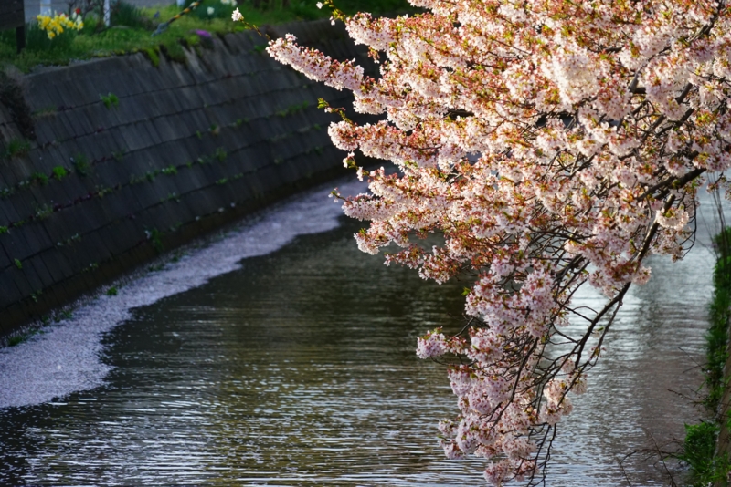 f:id:GSX-R1000:20160418214013j:image
