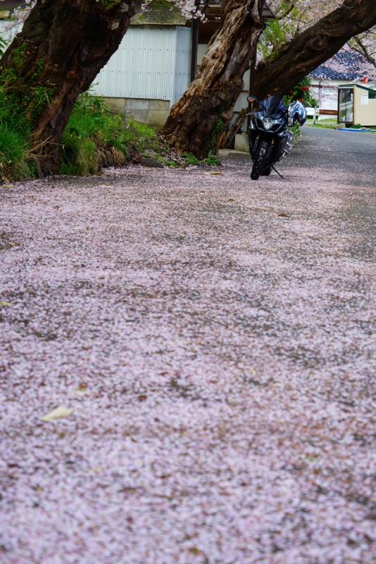 f:id:GSX-R1000:20160423153631j:image