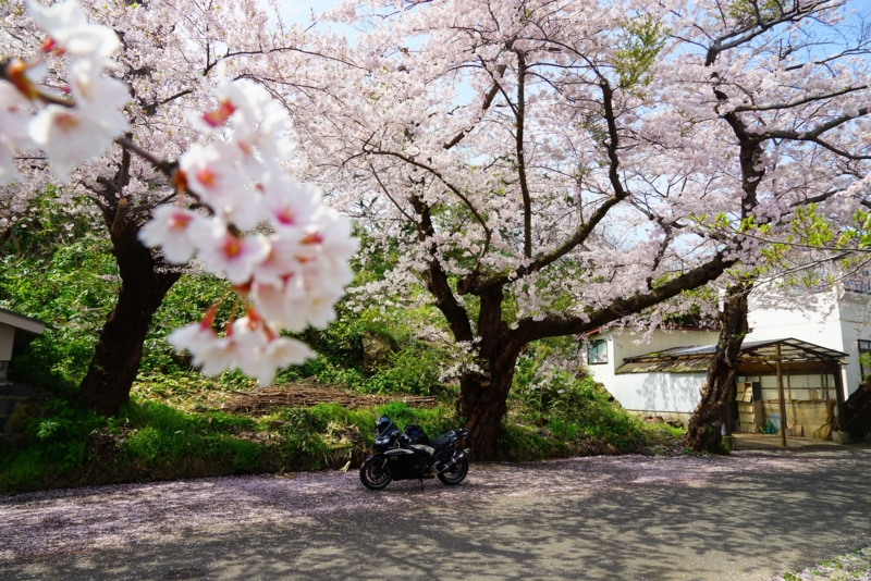 f:id:GSX-R1000:20160423153635j:image