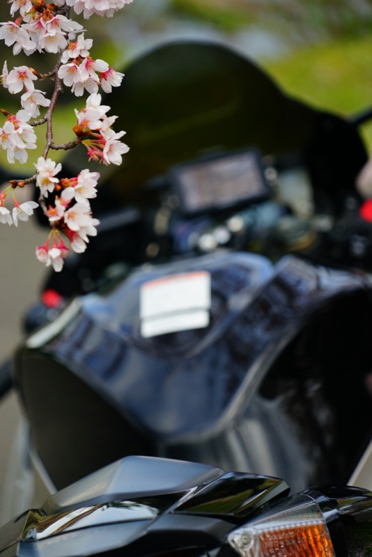 f:id:GSX-R1000:20160423153640j:image