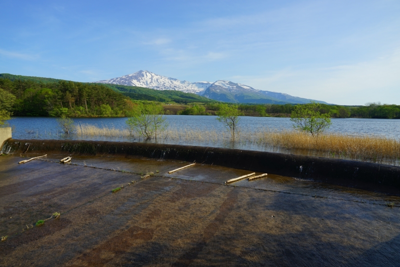 f:id:GSX-R1000:20160521112837j:image