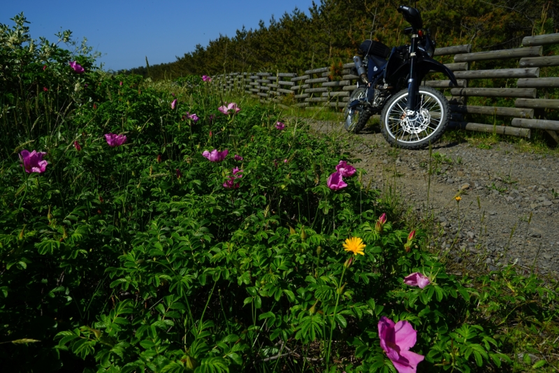f:id:GSX-R1000:20160522092310j:image