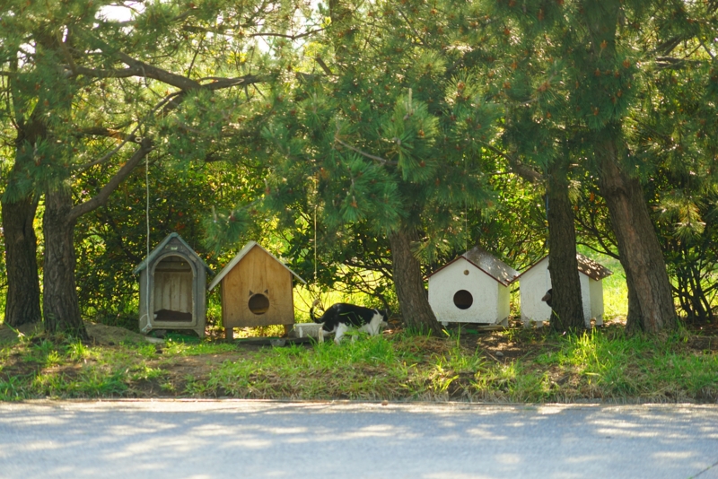 f:id:GSX-R1000:20160522095511j:image