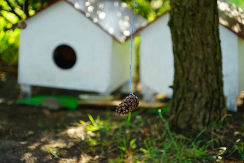 f:id:GSX-R1000:20160522095512j:image