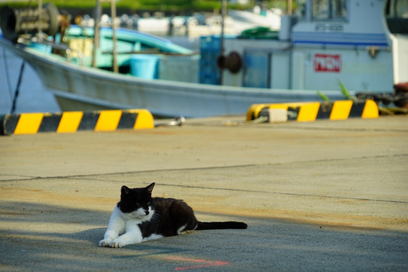 f:id:GSX-R1000:20160522095514j:image