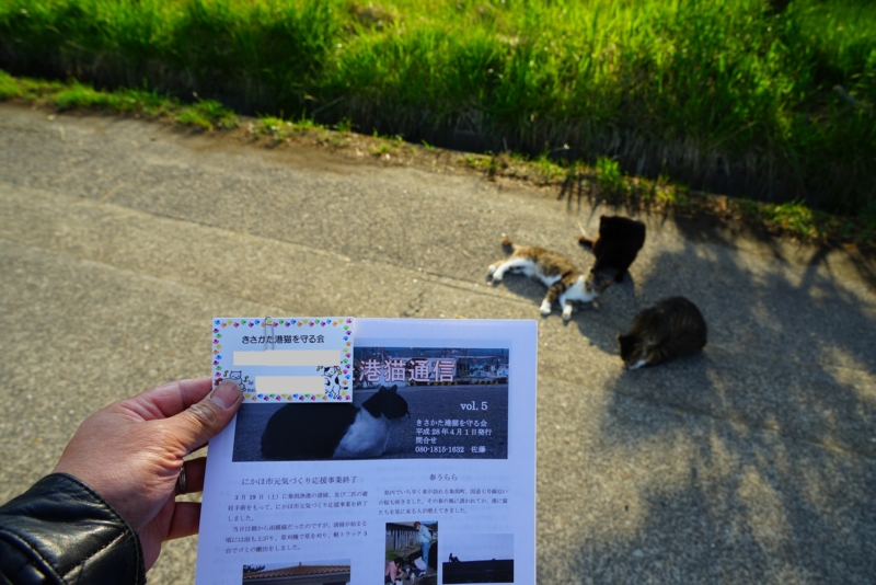 f:id:GSX-R1000:20160522095515j:image