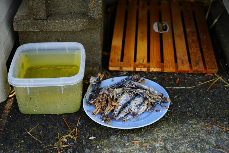 f:id:GSX-R1000:20160522095519j:image