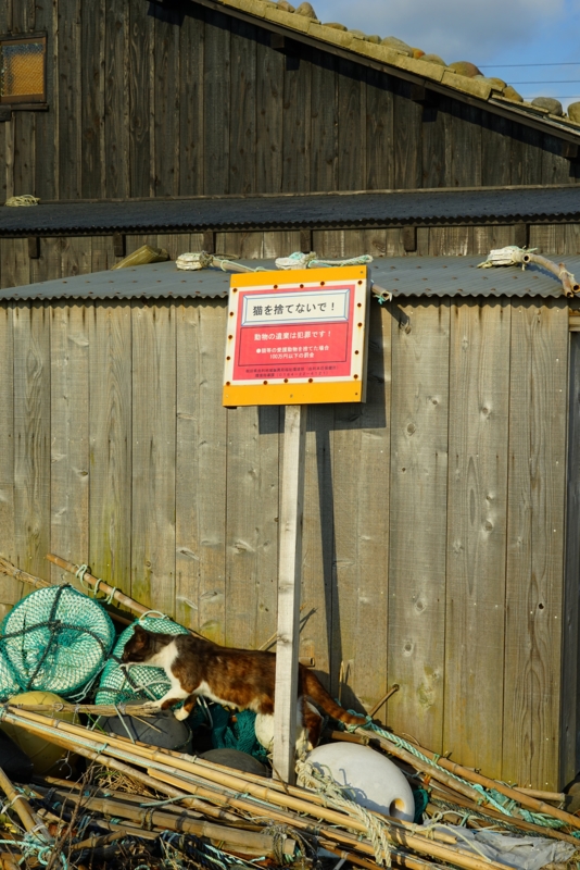 f:id:GSX-R1000:20160522095521j:image