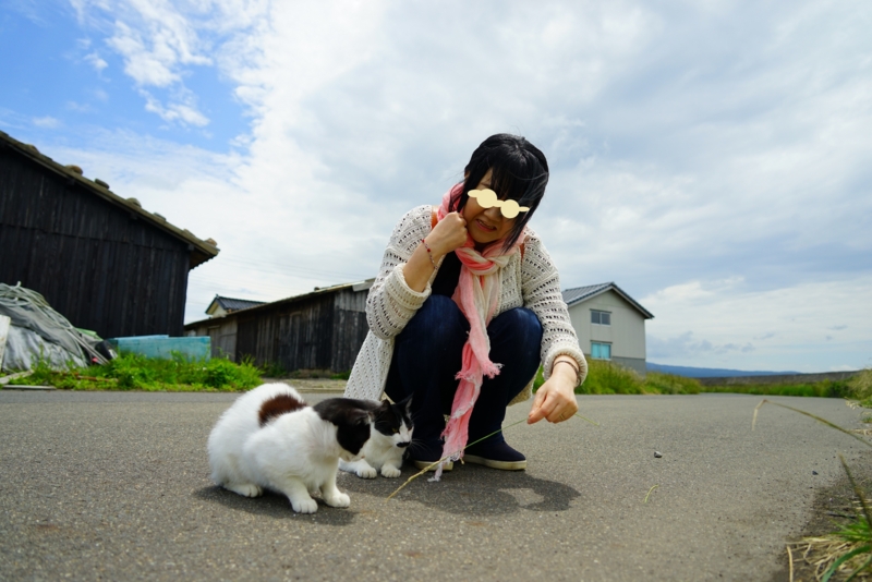 f:id:GSX-R1000:20160609225243j:image