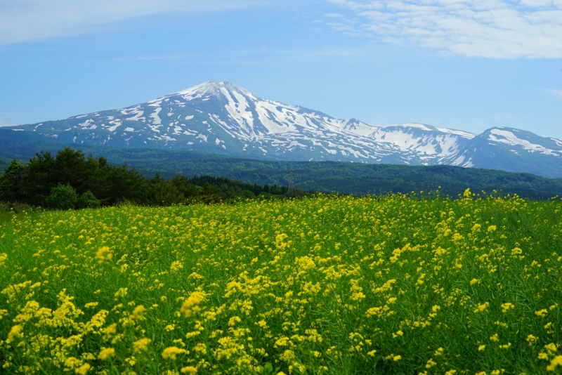 f:id:GSX-R1000:20160609225706j:image f:id:GSX-R1000:20160609225706j:image