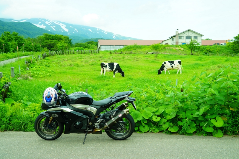 f:id:GSX-R1000:20160615191743j:image