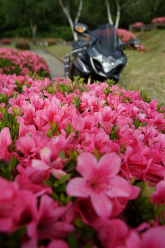 f:id:GSX-R1000:20160615191752j:image