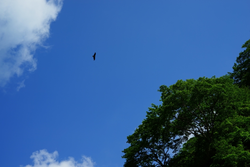 f:id:GSX-R1000:20160615210148j:image