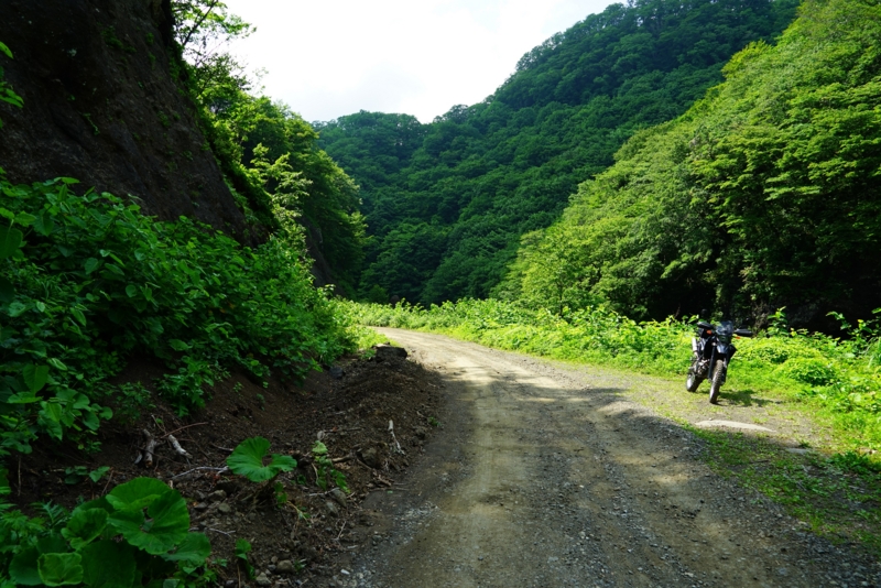 f:id:GSX-R1000:20160615210149j:image
