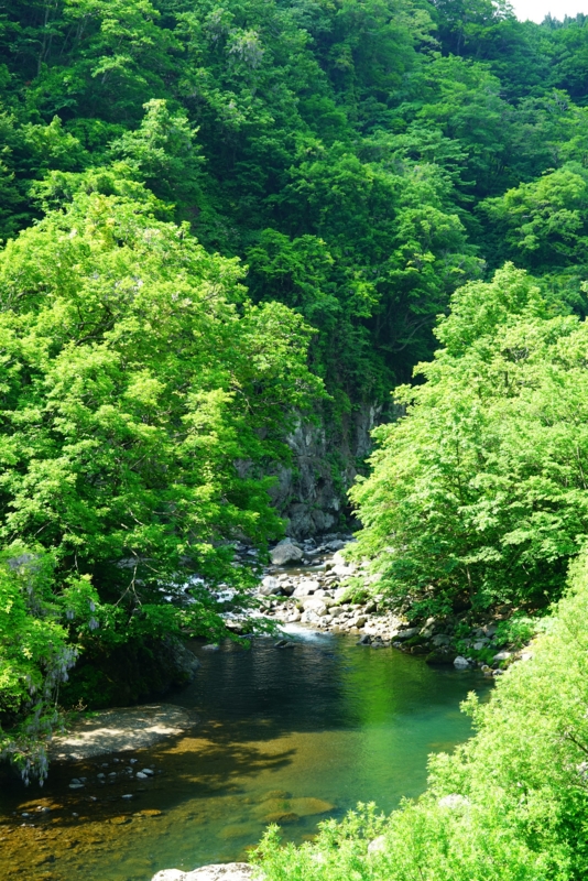 f:id:GSX-R1000:20160615210151j:image