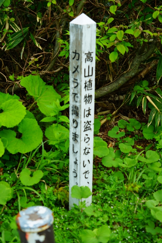 f:id:GSX-R1000:20160615210217j:image