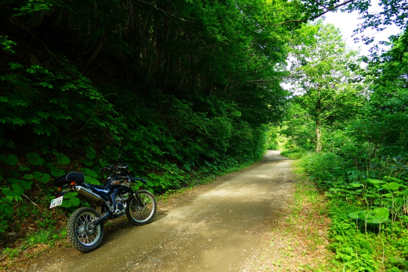 f:id:GSX-R1000:20160615210219j:image