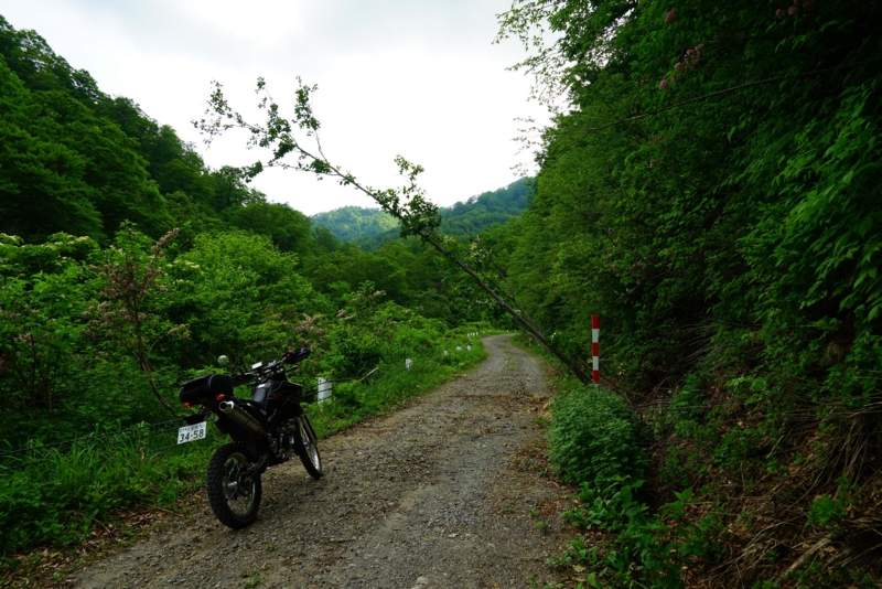 f:id:GSX-R1000:20160615215936j:image