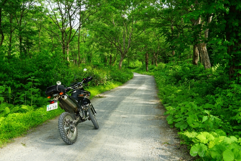 f:id:GSX-R1000:20160615223313j:image