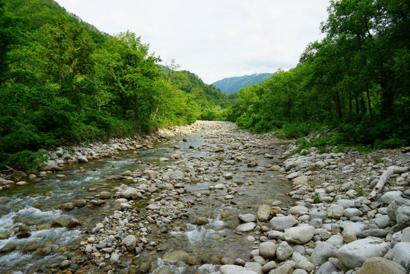 f:id:GSX-R1000:20160615223316j:image