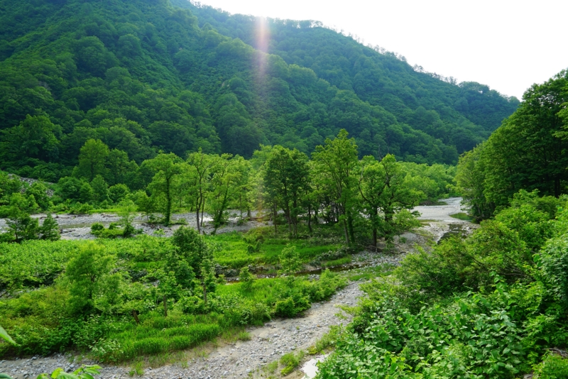 f:id:GSX-R1000:20160615223318j:image