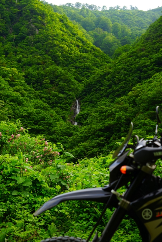 f:id:GSX-R1000:20160615223323j:image