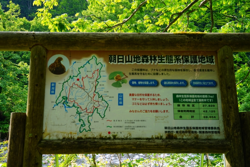 f:id:GSX-R1000:20160615223325j:image