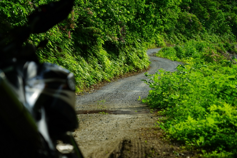 f:id:GSX-R1000:20160615223330j:image