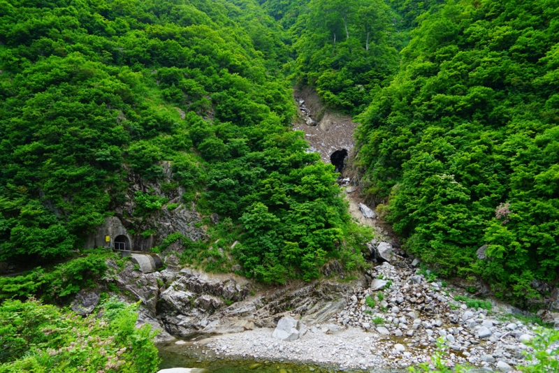 f:id:GSX-R1000:20160615223331j:image
