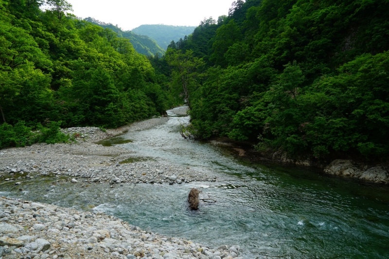 f:id:GSX-R1000:20160615223337j:image