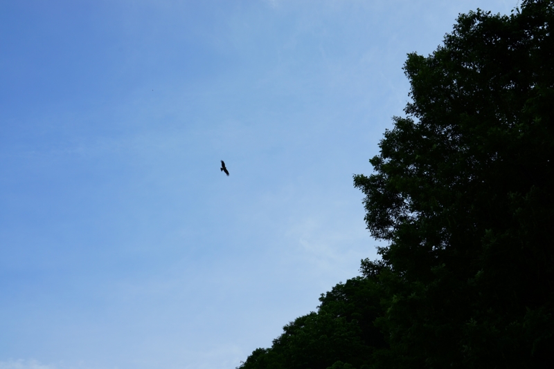 f:id:GSX-R1000:20160615223352j:image